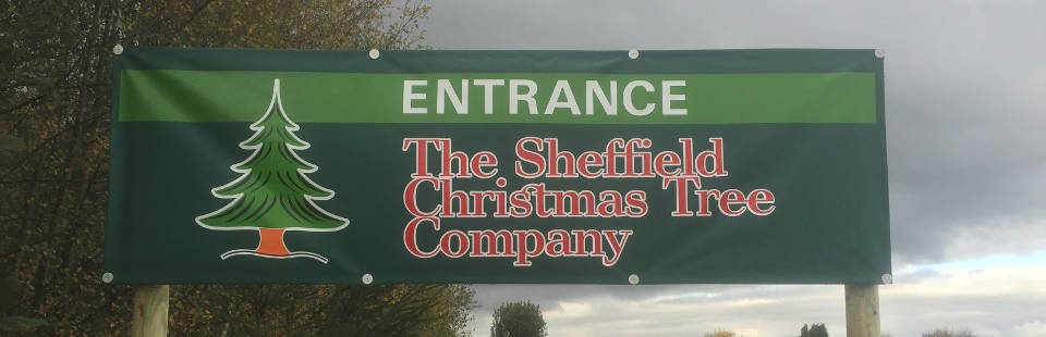 The Sheffield Christmas Tree Company (PYO) Ltd